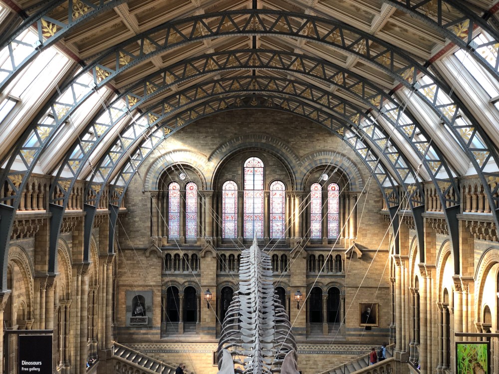 museo-di-storia-naturale-londra.jpeg