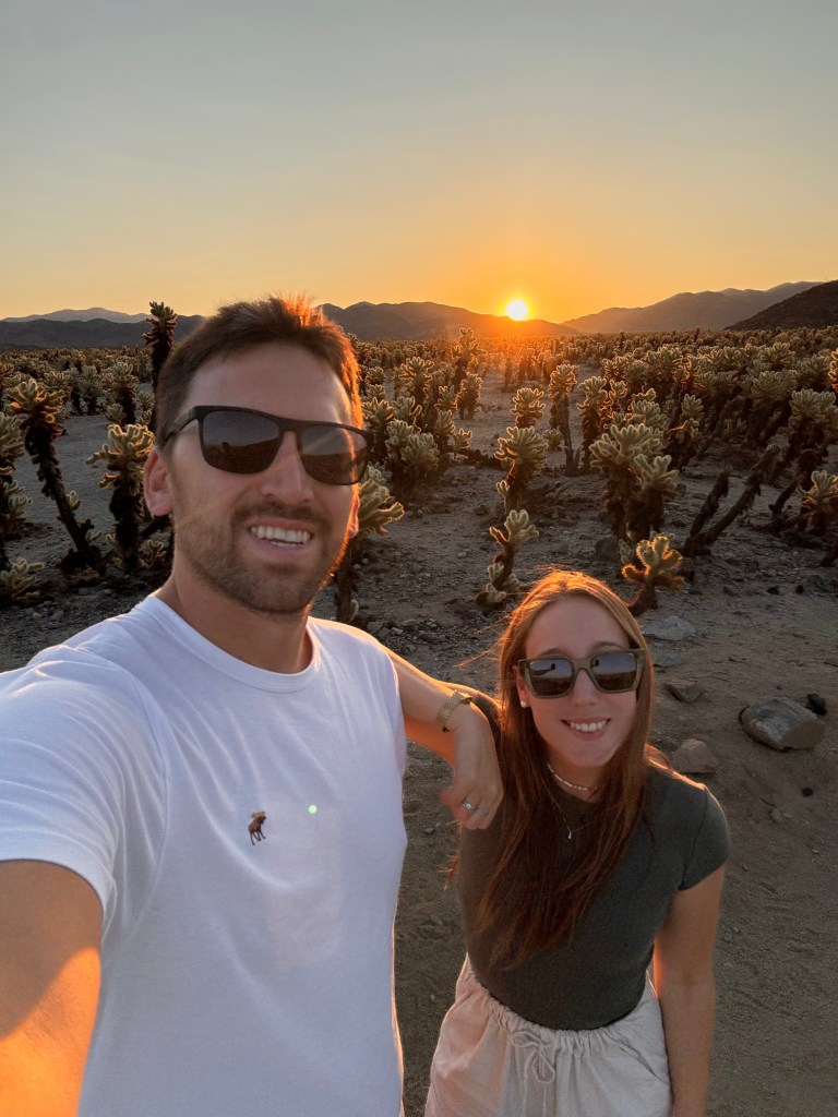 Cholla Cactus Garden al Joshua Tree National Park al tramonto