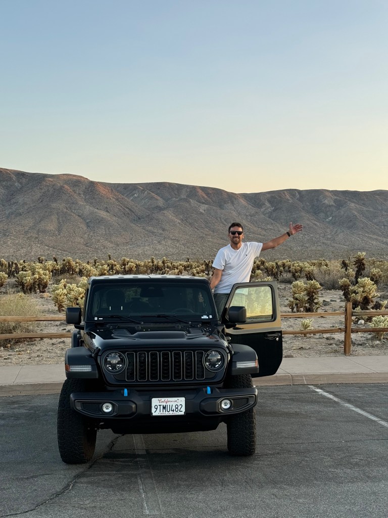 Cholla Cactus Garden al Joshua Tree National Park